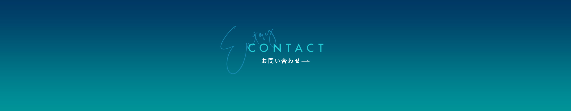 contact_bnr